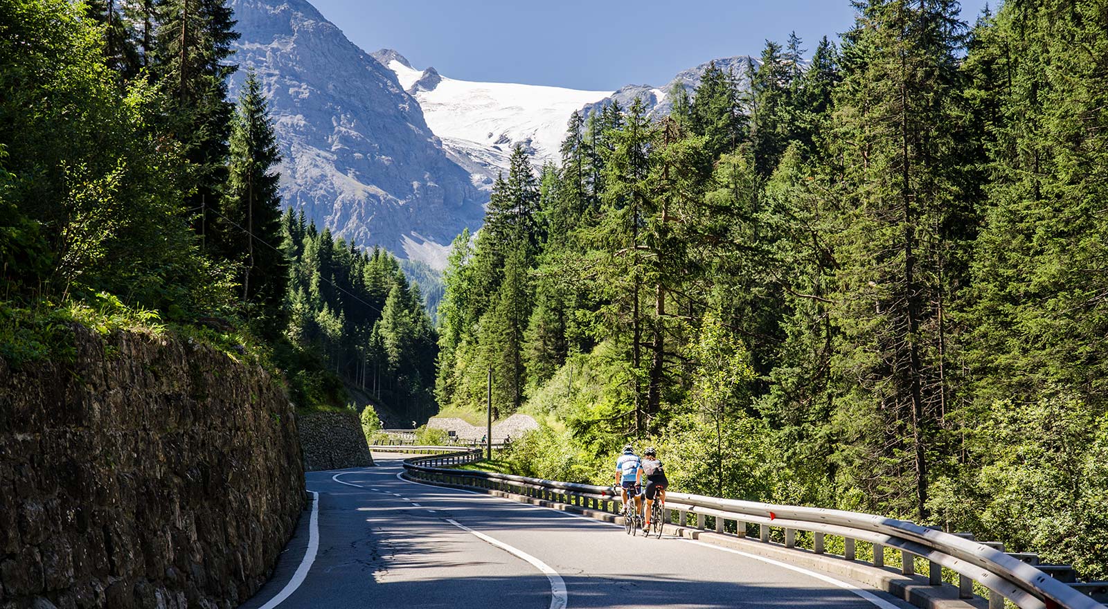 Dettaglio biking1 Alpi & Golf in stile Alpino