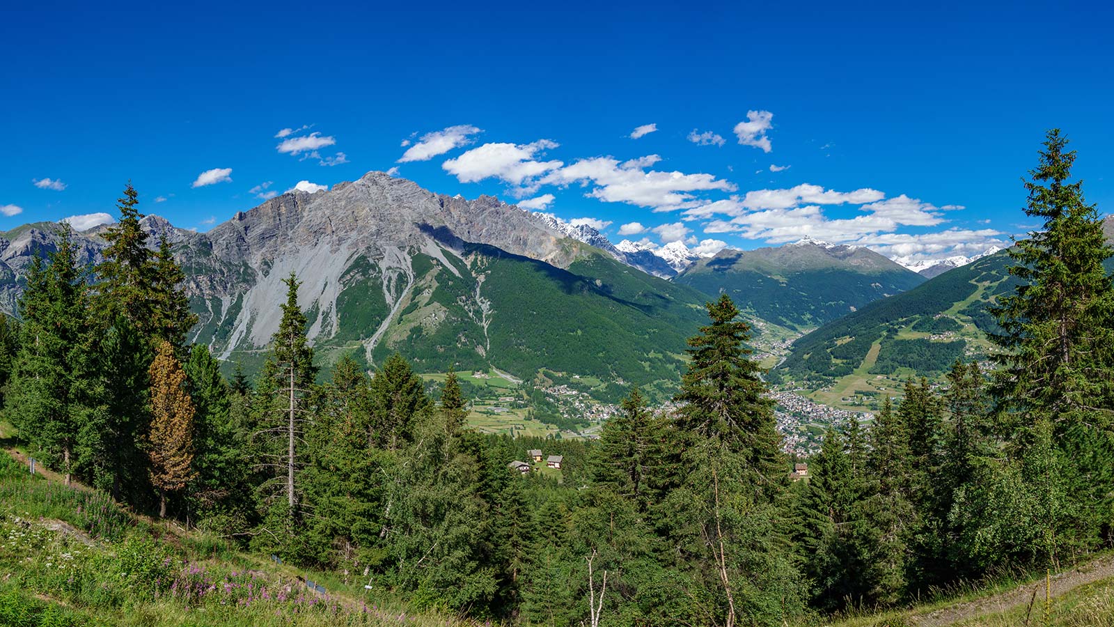 Hotel Alpi & Golf 3 stelle è immerso nel verde a poca distanza dal centro di Bormio