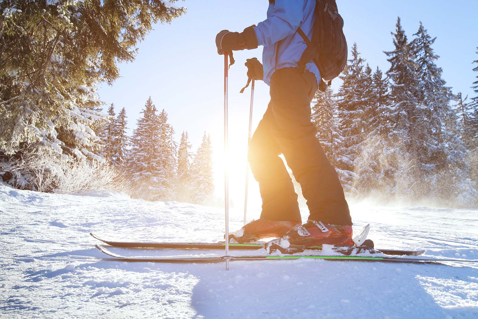 Settimana bianca all'Hotel in Valtellina con servizio navetta gratuita per gli impianti