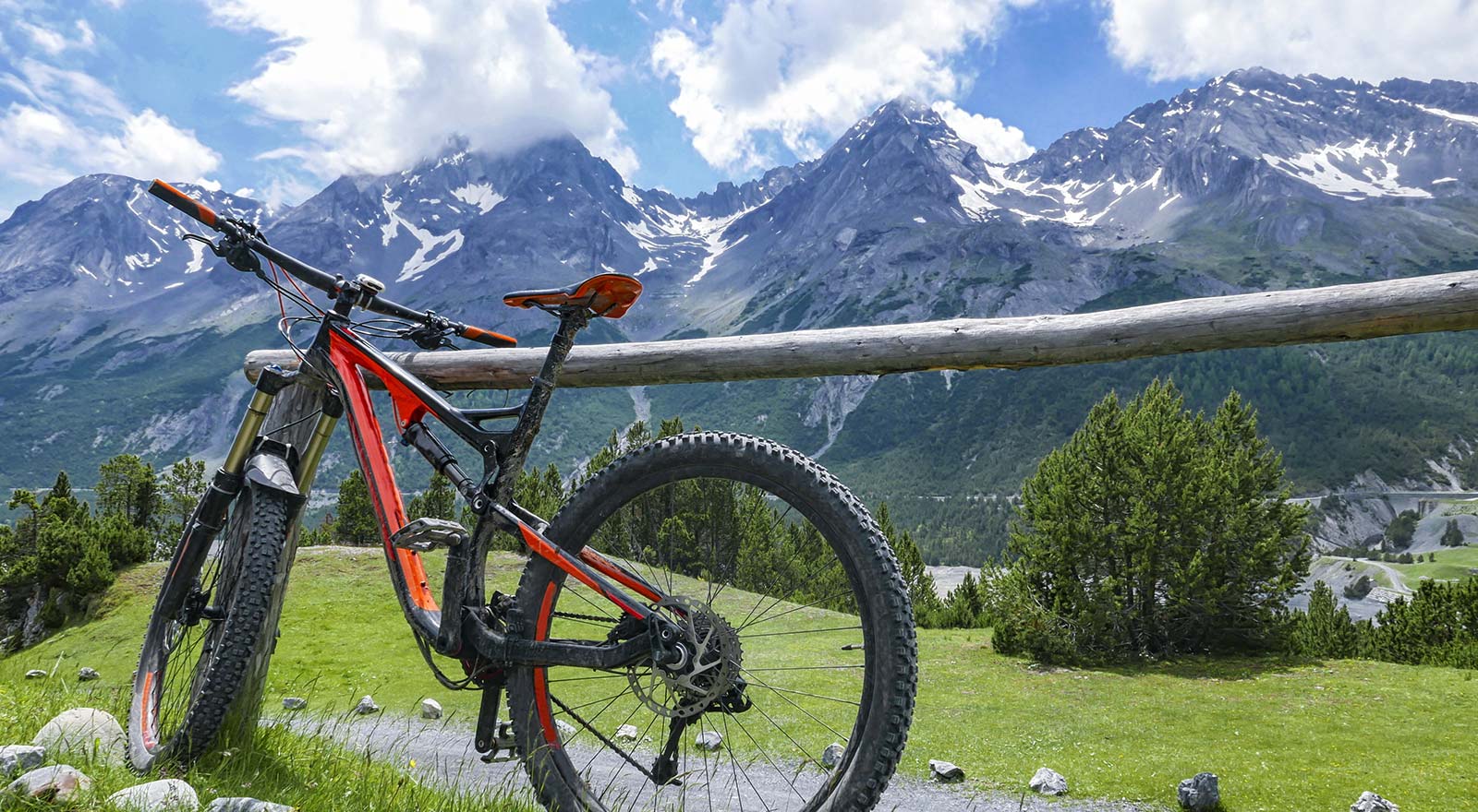Dettaglio bike1 Alpi & Golf in stile Alpino