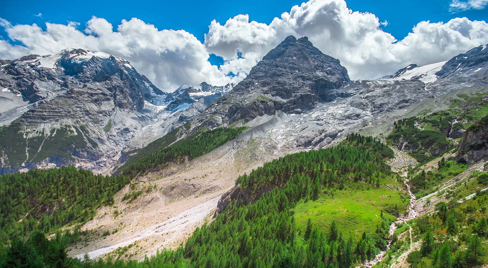 Dettaglio trekking1 Alpi & Golf in stile Alpino