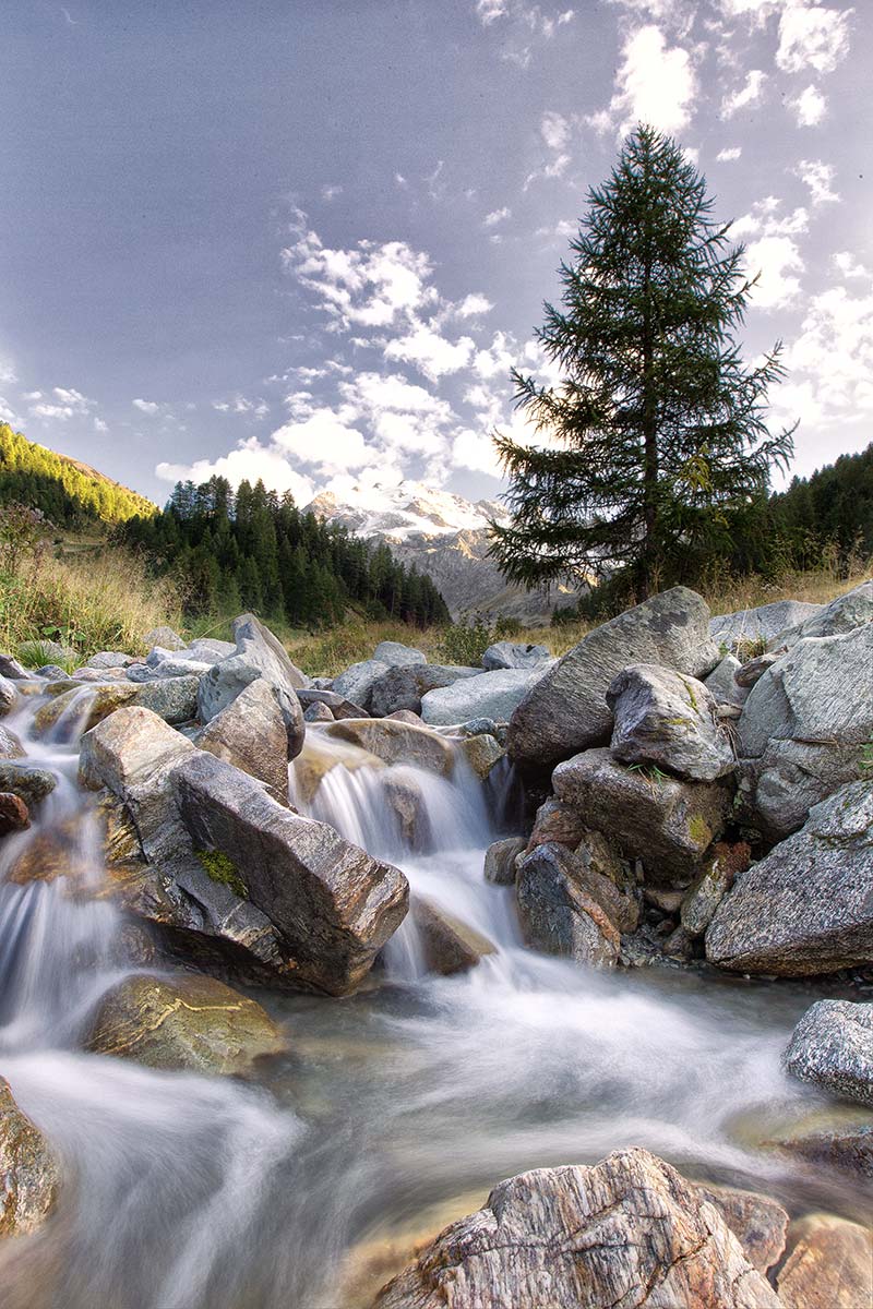 Percorsi nella natura per la tua vacanza in Valtellina